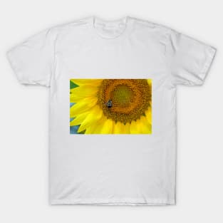 Bumble Bee on A Sunflower T-Shirt